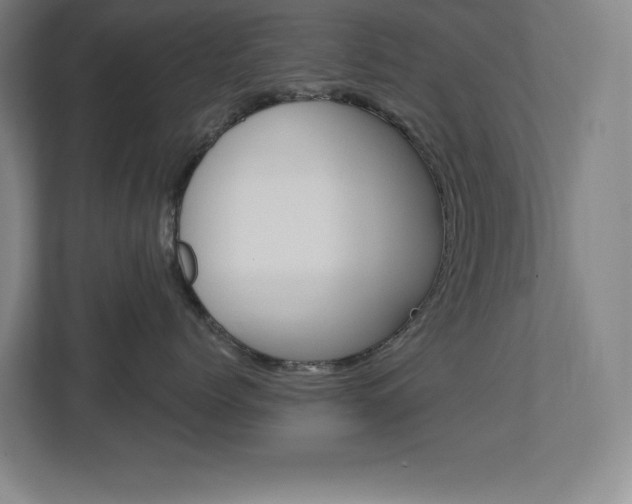 X0000113180768200909040954