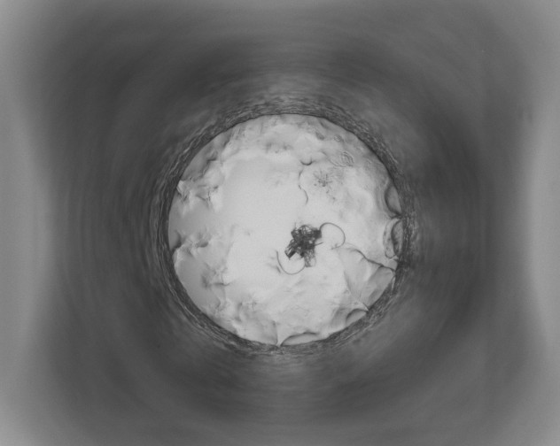 X0000113180769200909040953