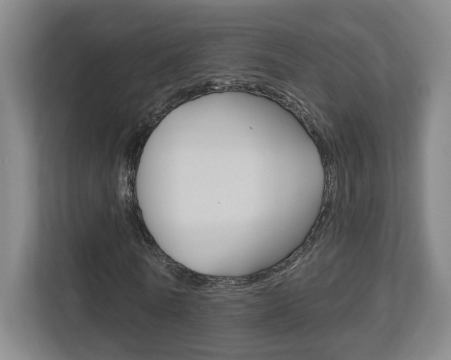 X0000113180770200909040953