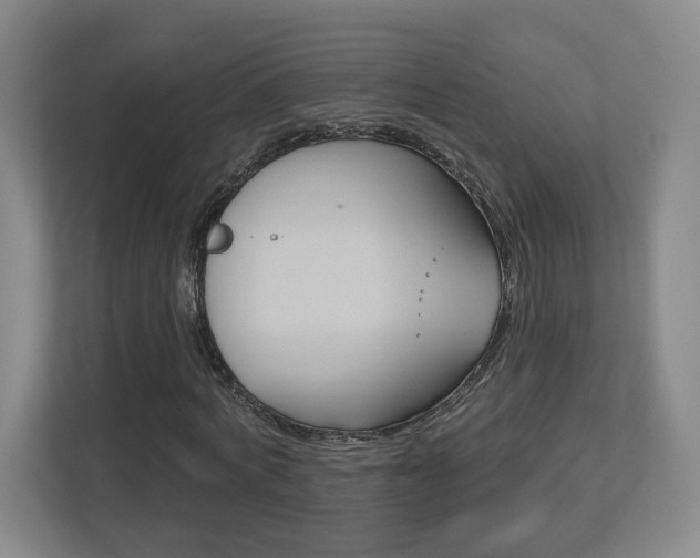 X0000113180772200909040953