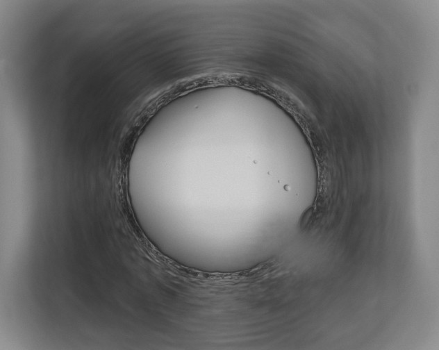 X0000113180773200909040953