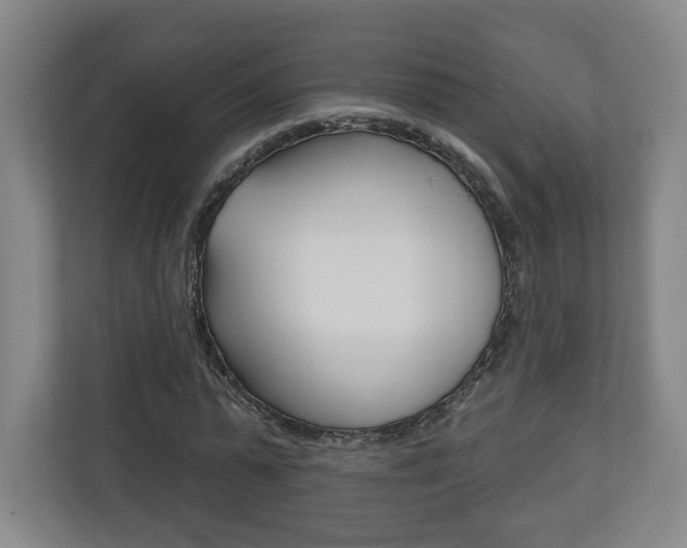 X0000113180775200909040953