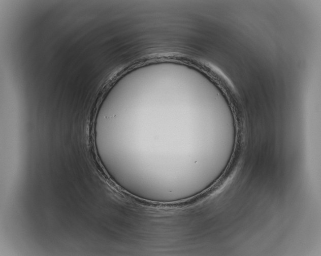 X0000113180777200909040953