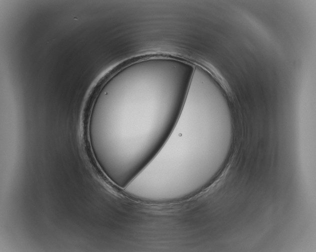 X0000113180780200909040953