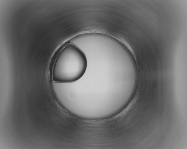 X0000113180781200909040953