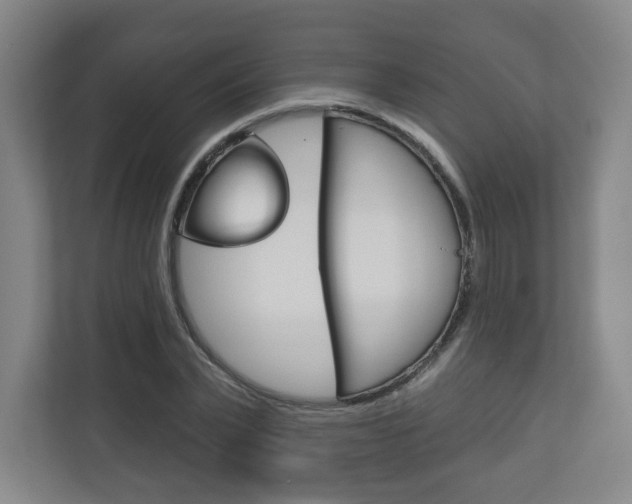 X0000113180783200909040953