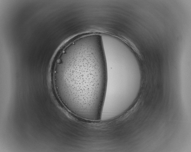 X0000113180784200909040953
