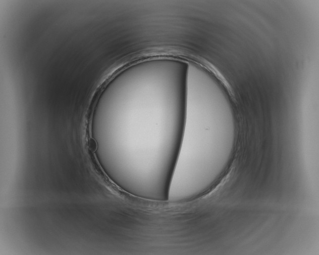 X0000113180786200909040953