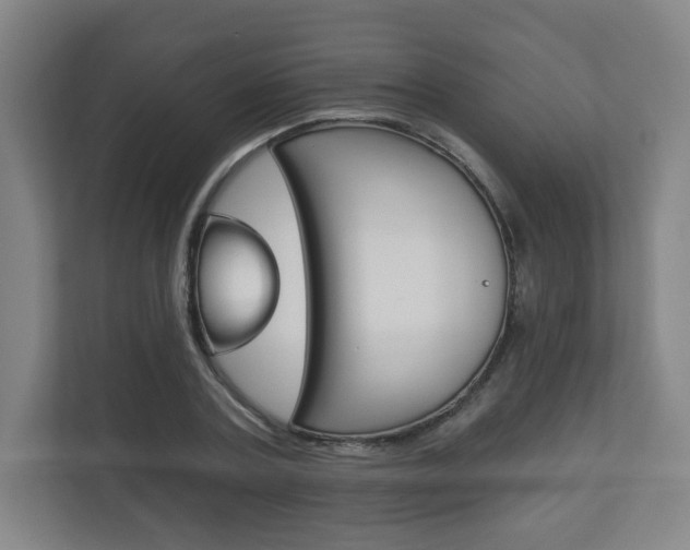 X0000113180787200909040953