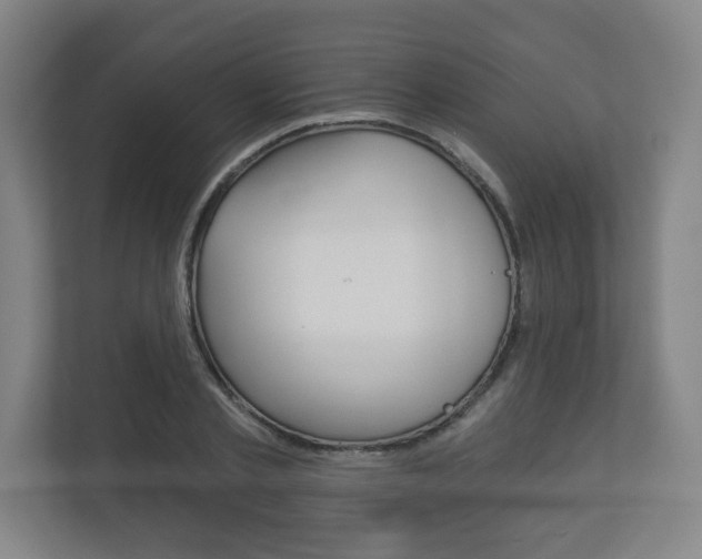 X0000113180789200909040953