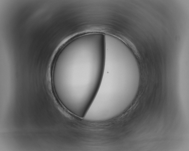X0000113180792200909040953