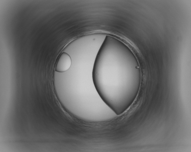 X0000113180793200909040953