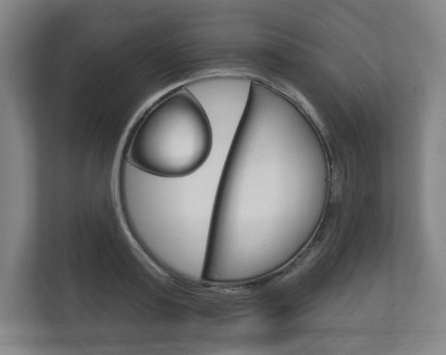 X0000113180795200909040953