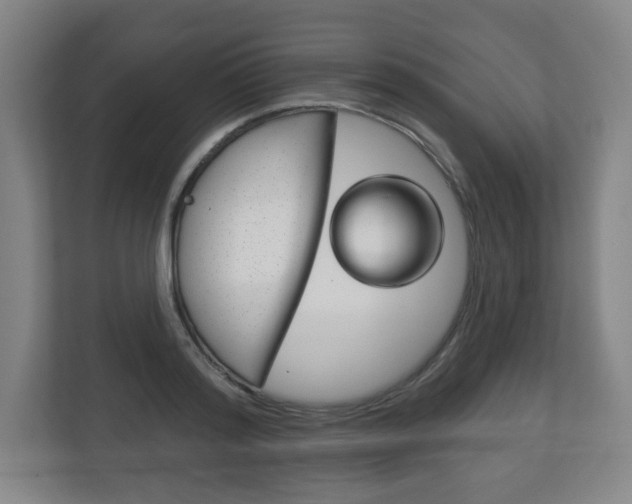 X0000113180796200909040953