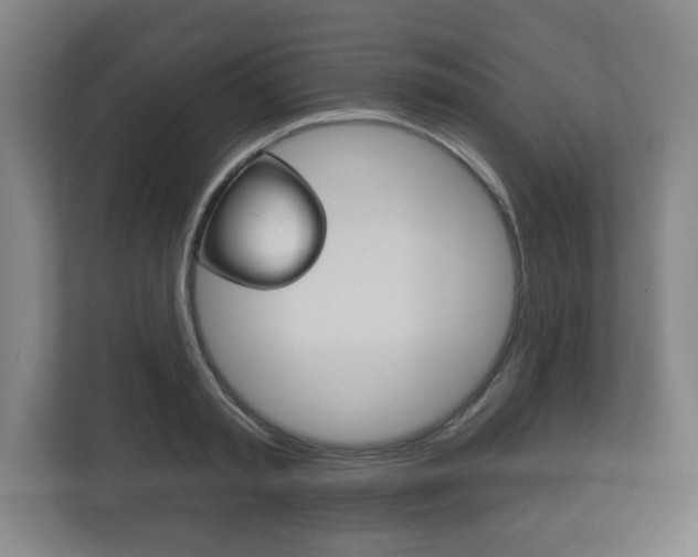 X0000113180797200909040953