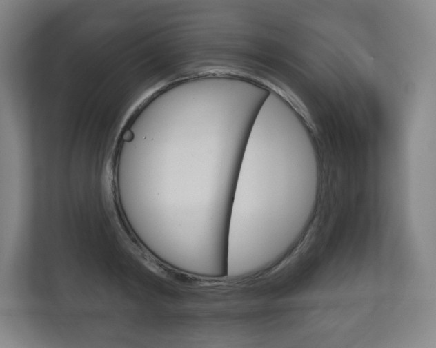 X0000113180798200909040953