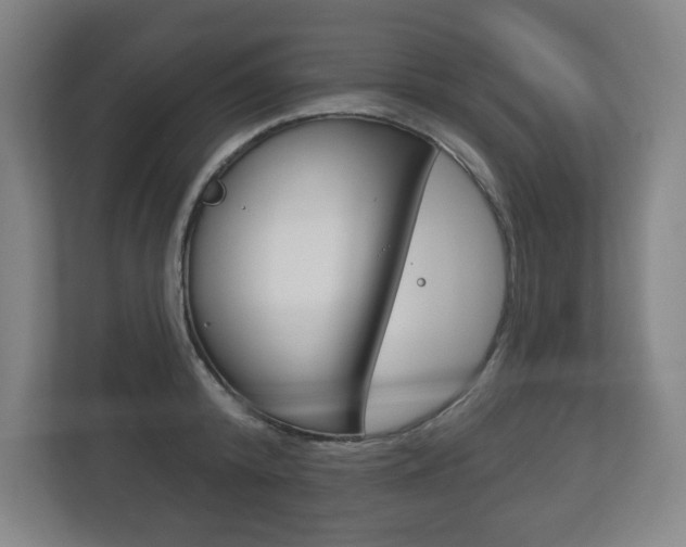 X0000113180800200909040953