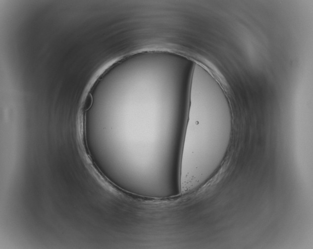 X0000113180804200909040953