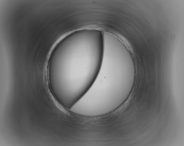 X0000113180808200909040953