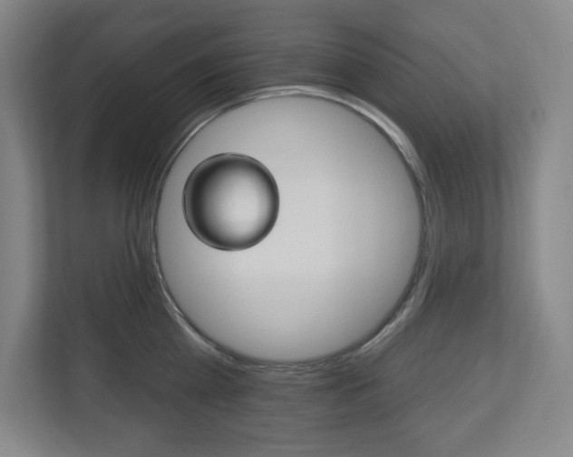 X0000113180809200909040953