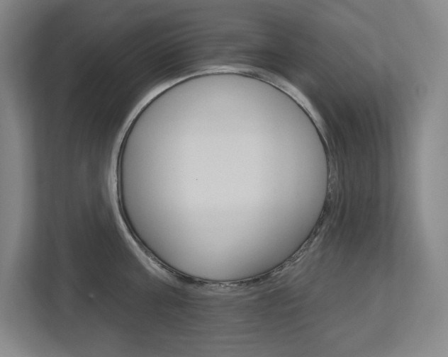 X0000113180811200909040953