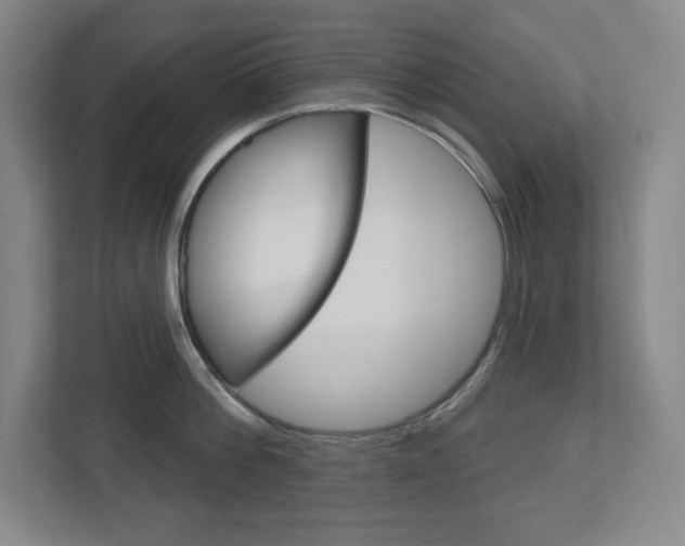 X0000113180812200909040953