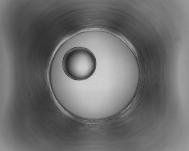 X0000113180813200909040953