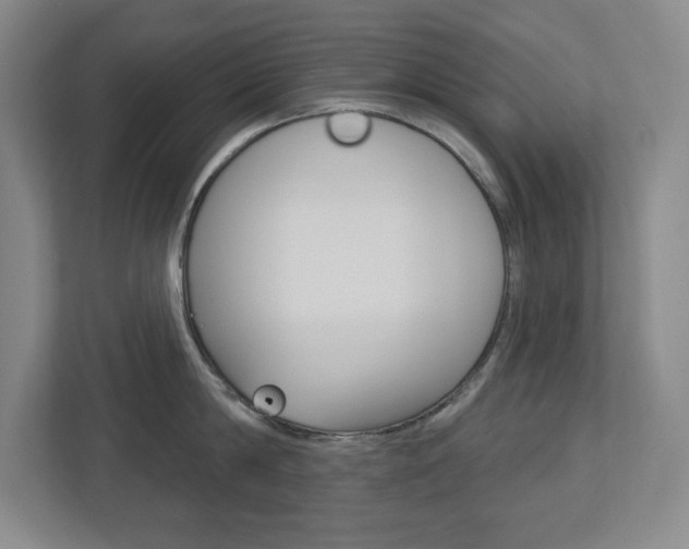 X0000113180814200909040953