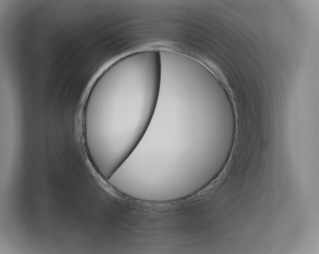 X0000113180816200909040952
