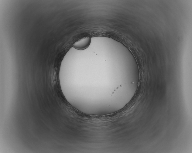 X0000113180818200909040952