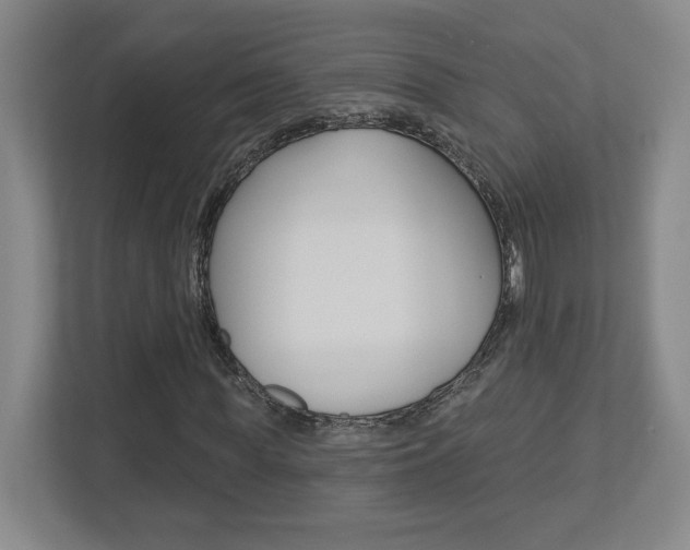 X0000113180819200909040952