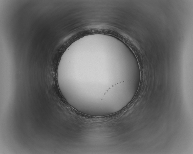 X0000113180822200909040952