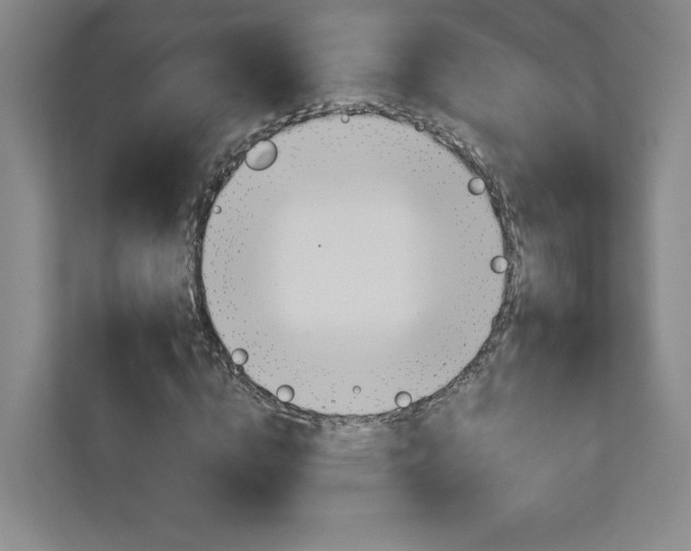 X0000113180824200909040952