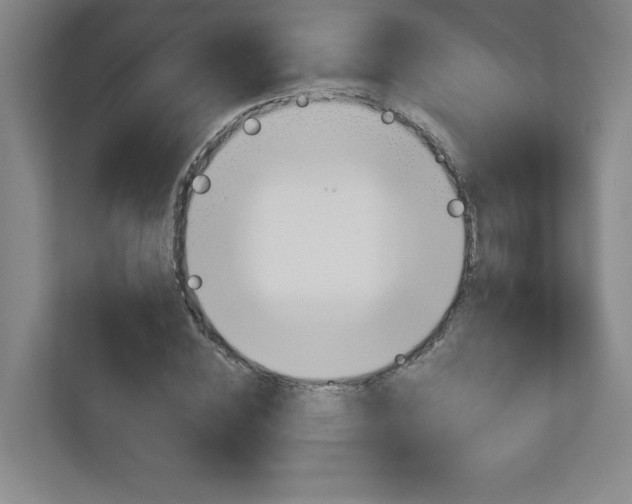 X0000113180828200909040952