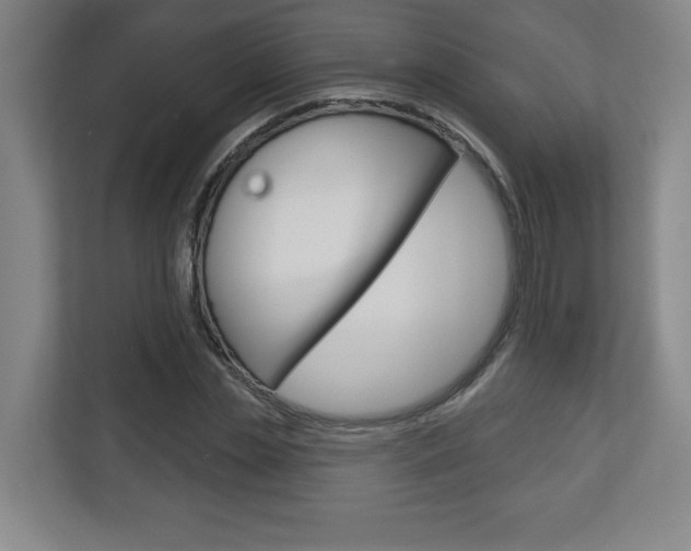 X0000113180829200909040952