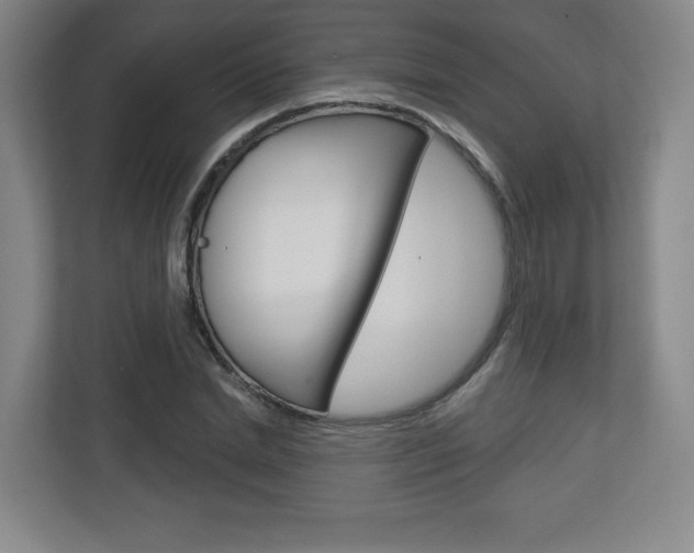 X0000113180830200909040952