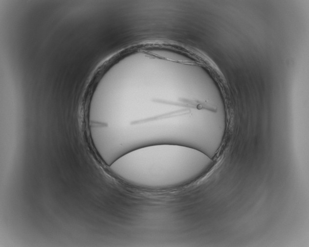 X0000113180831200909040952