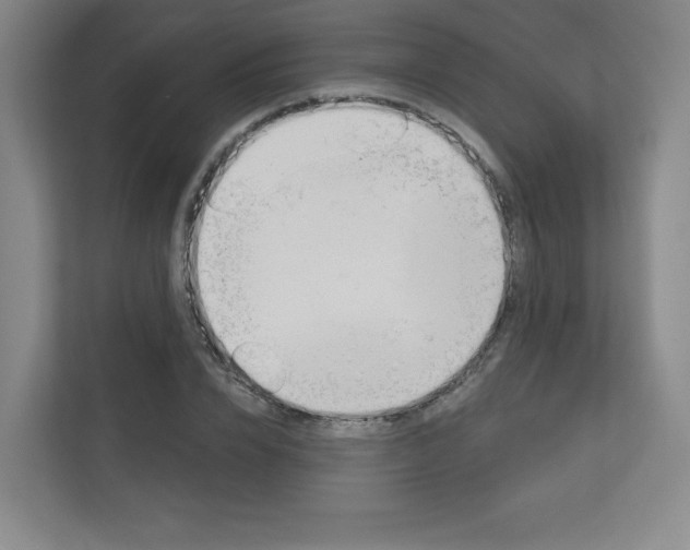 X0000113180832200909040952