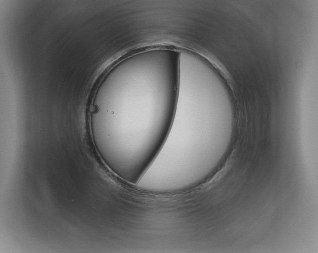 X0000113180834200909040952