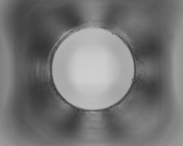 X0000113180836200909040952