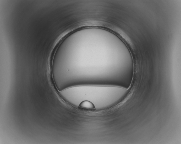 X0000113180837200909040952