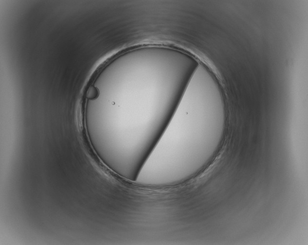 X0000113180838200909040952