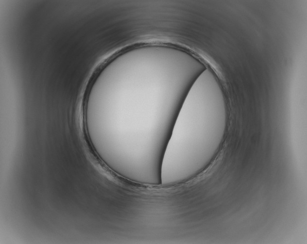 X0000113180840200909040952