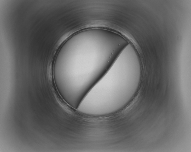 X0000113180842200909040952