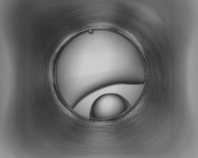 X0000113180843200909040952