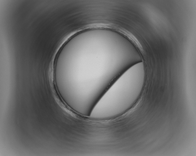 X0000113180844200909040952