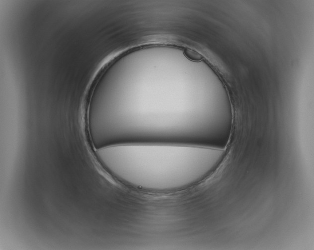 X0000113180846200909040952