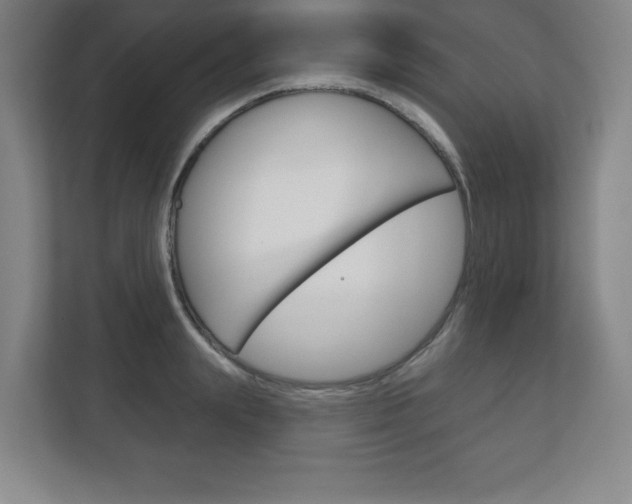 X0000113180847200909040952