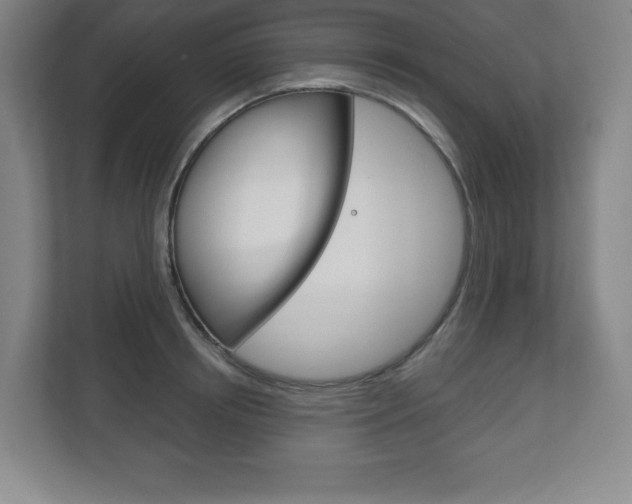 X0000113180850200909040952