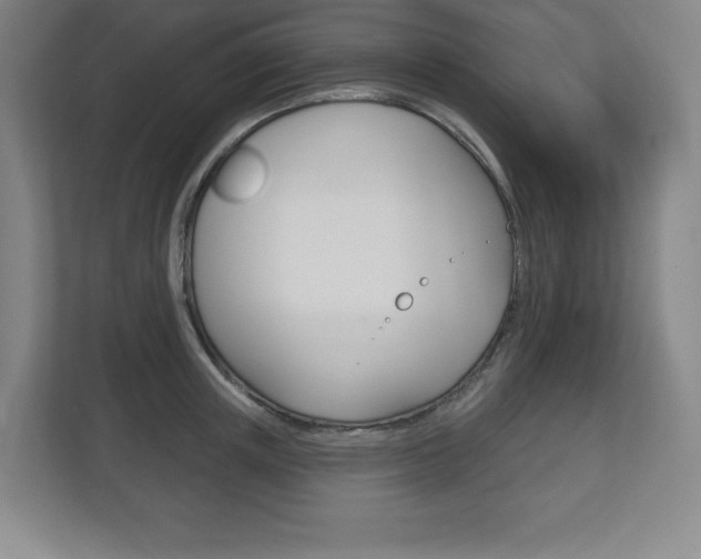 X0000113180851200909040952
